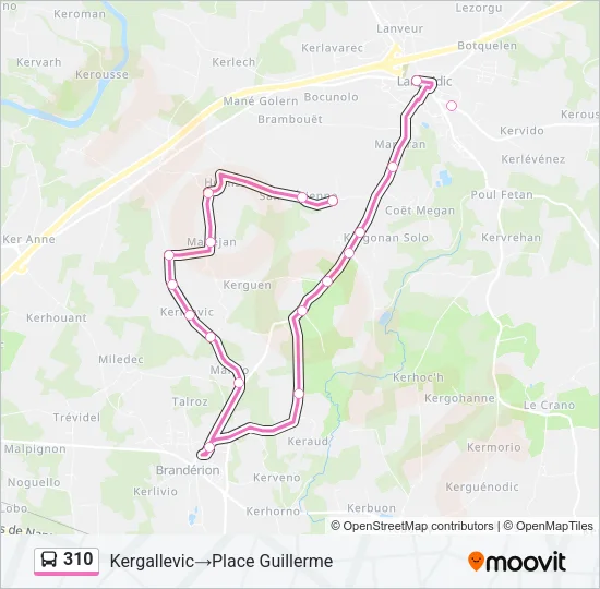 310 Bus Line Map
