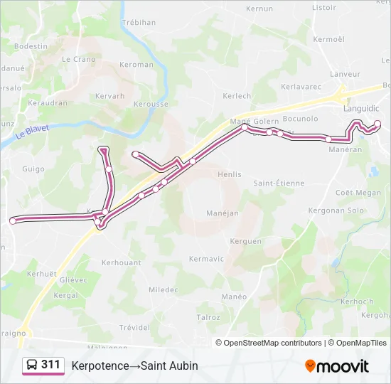 311 Bus Line Map