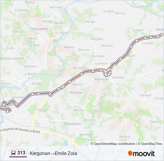 Plan de la ligne 313 de bus