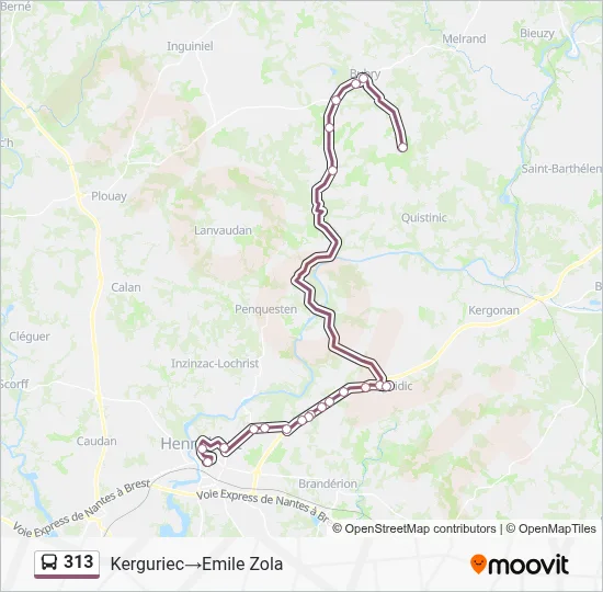 313 Bus Line Map