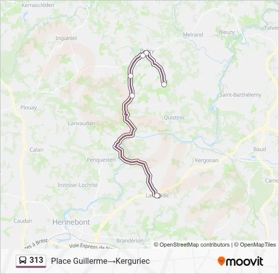 313 Bus Line Map