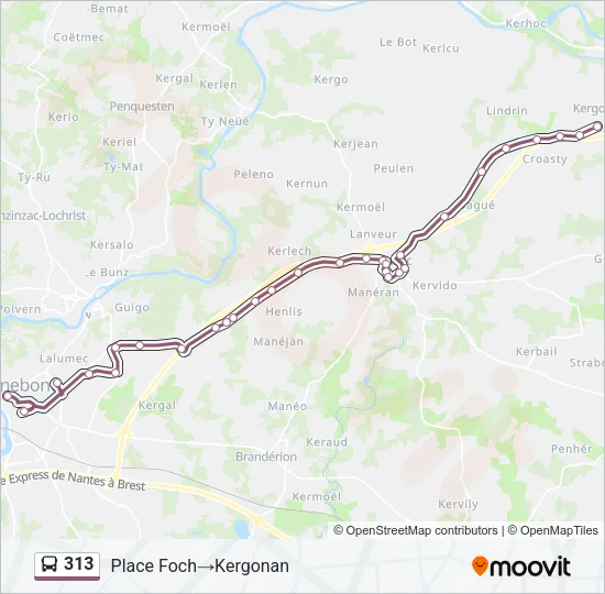 313 Bus Line Map
