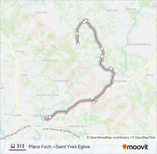 313 Bus Line Map