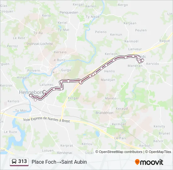 313 Bus Line Map