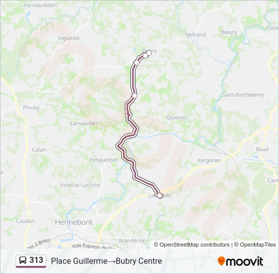 313 Bus Line Map
