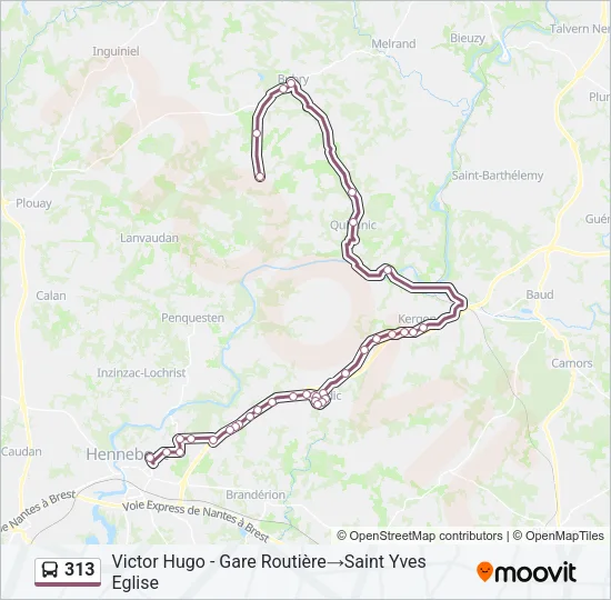 313 Bus Line Map