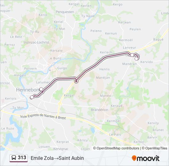 313 bus Line Map