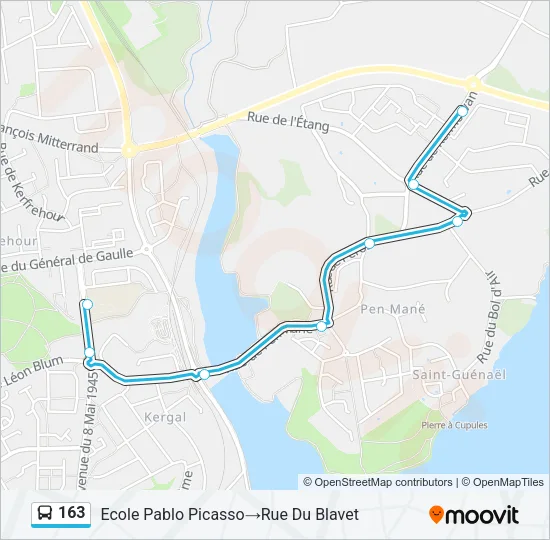 163 Bus Line Map