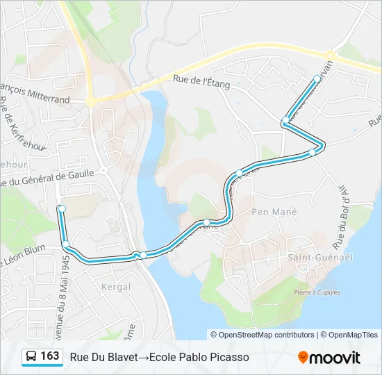 163 Bus Line Map