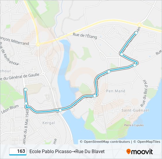 Plan de la ligne 163 de bus