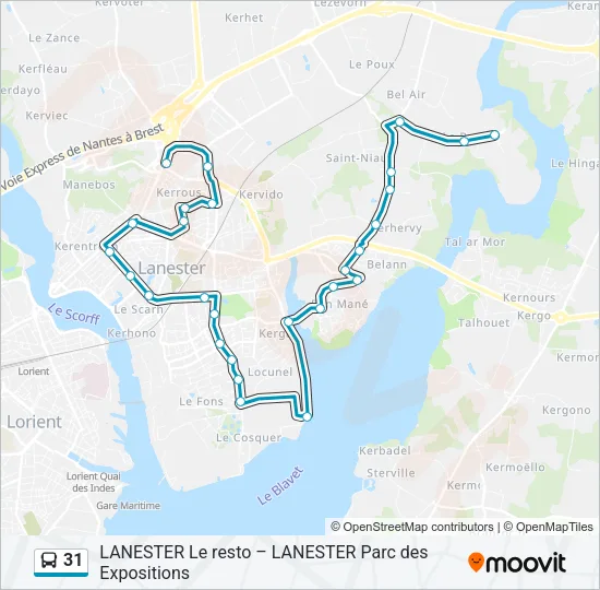 31 Bus Line Map