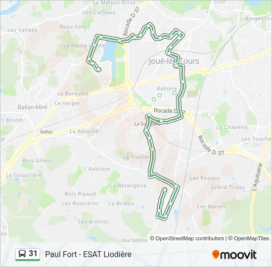 31 Bus Line Map