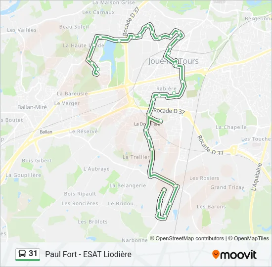 31 Bus Line Map
