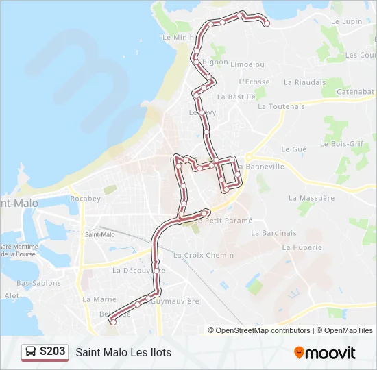 S203 Bus Line Map