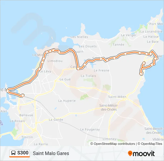 S300 Bus Line Map
