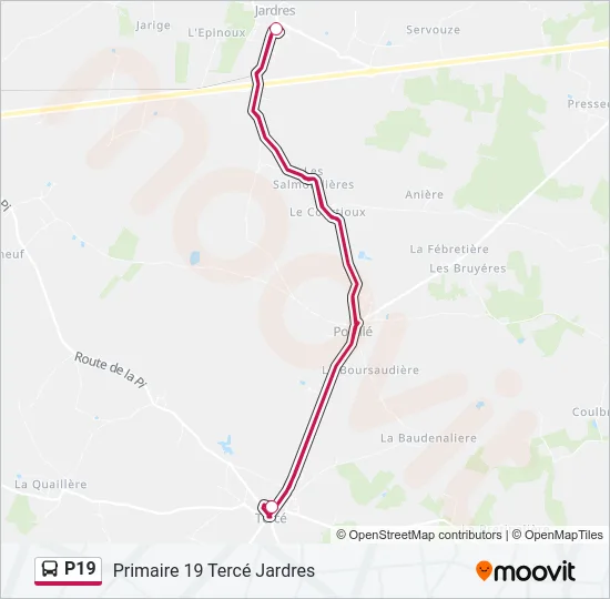 P19 Bus Line Map