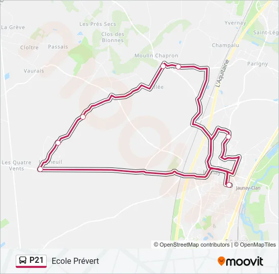 P21 Bus Line Map