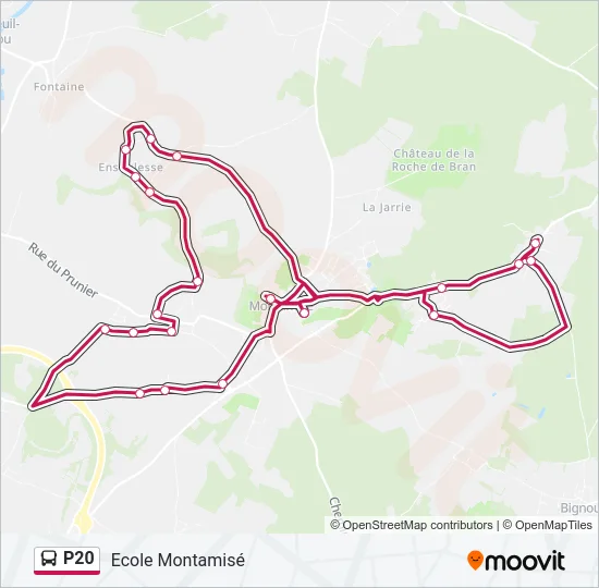 P20 Bus Line Map