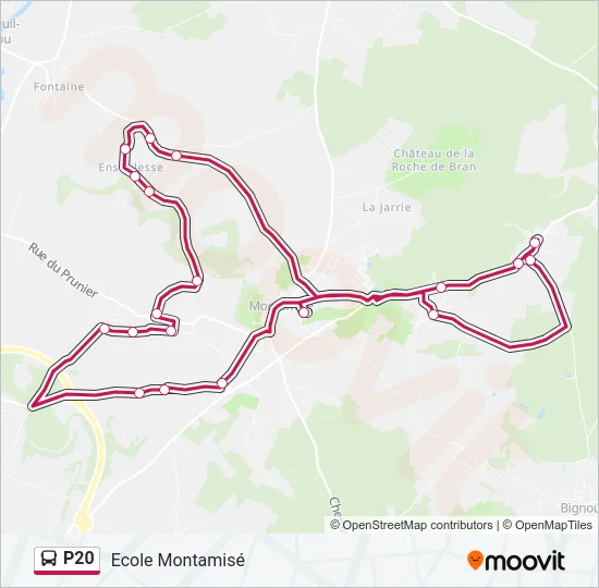 P20 Bus Line Map