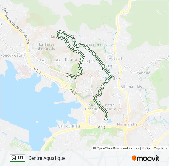 D1 Bus Line Map