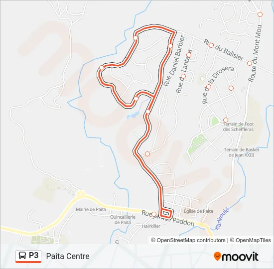 P3 Bus Line Map