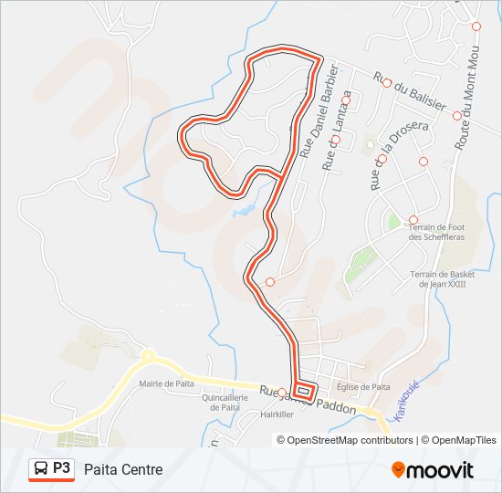 P3 bus Line Map