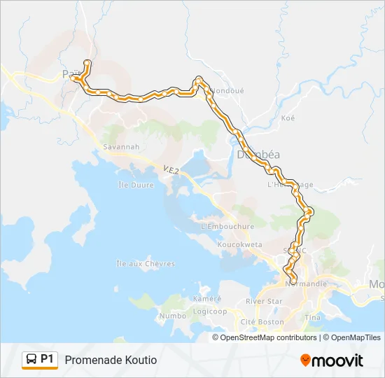P1 Bus Line Map