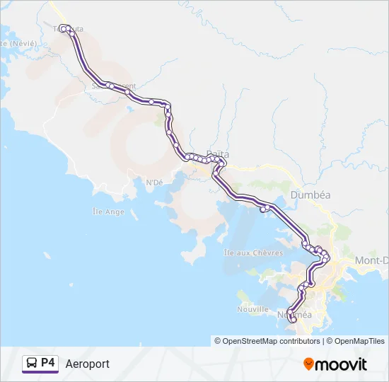 P4 Bus Line Map