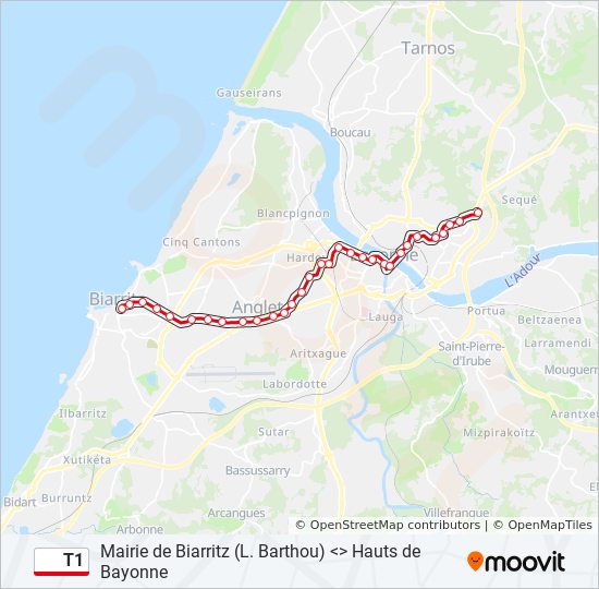 T1 bus Line Map