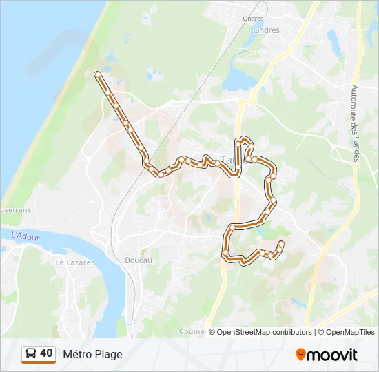 40 Bus Line Map
