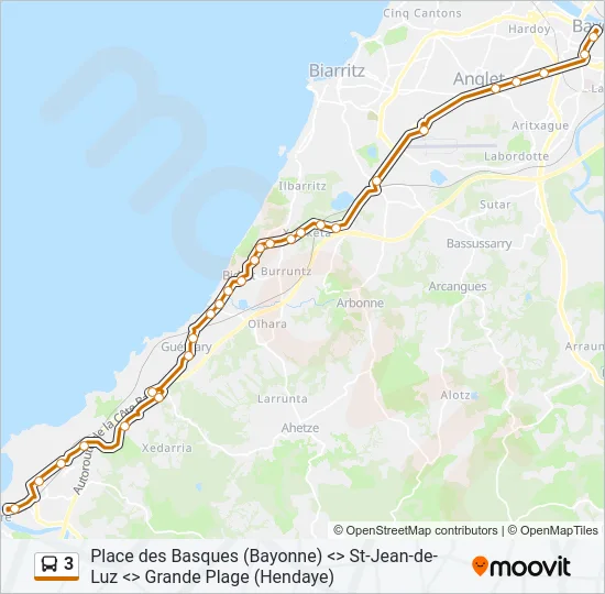 3 Bus Line Map