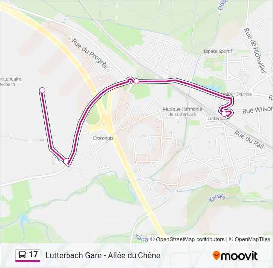 17 Bus Line Map