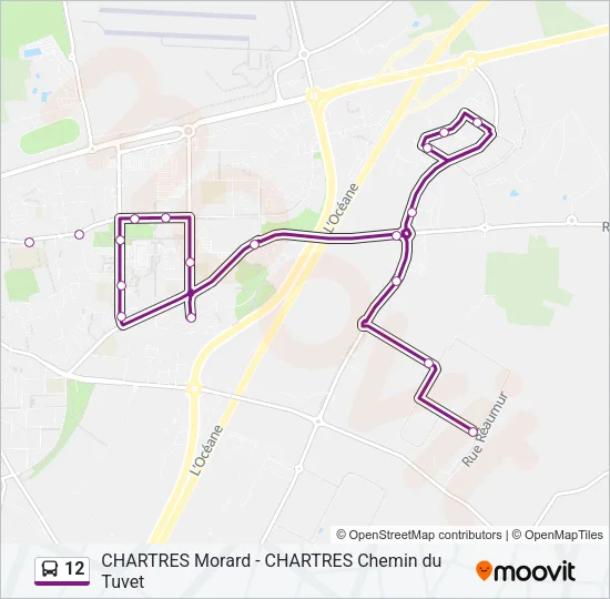 12 Bus Line Map