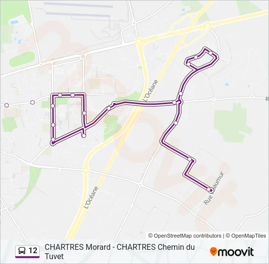 12 Bus Line Map