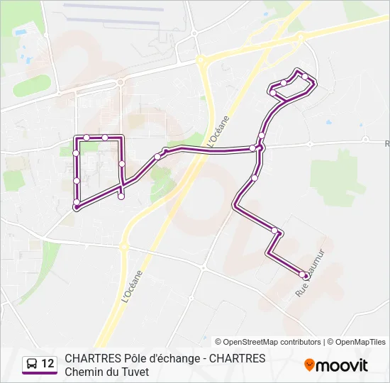 12 Bus Line Map