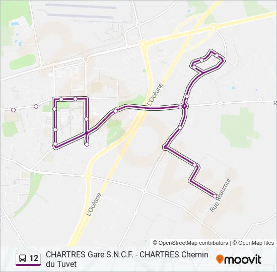 12 Bus Line Map