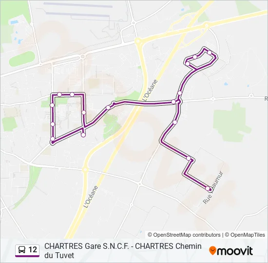 12 Bus Line Map
