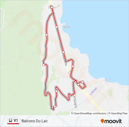 V1 Bus Line Map