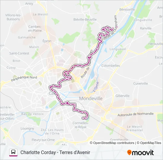 10 Bus Line Map