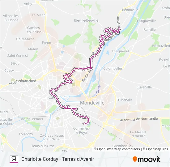 10 Bus Line Map