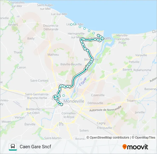 12 Bus Line Map
