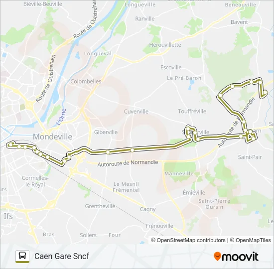 31 Bus Line Map