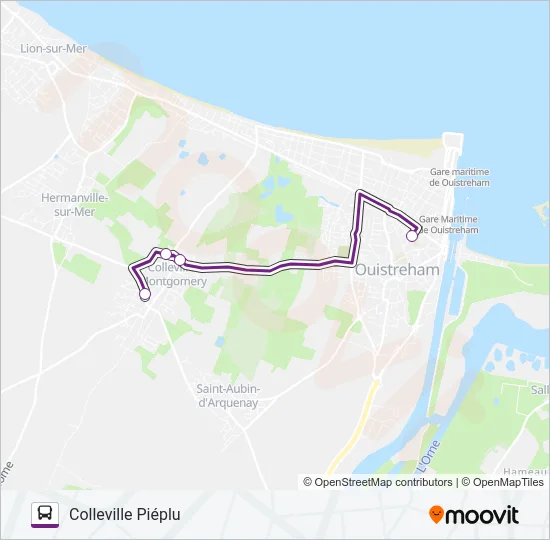 101 Bus Line Map