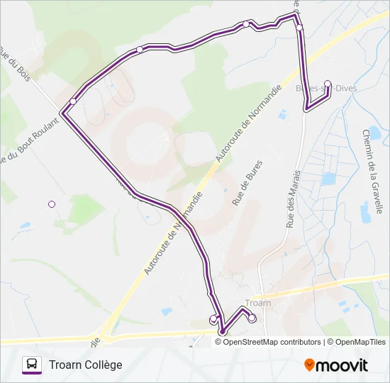131 Bus Line Map