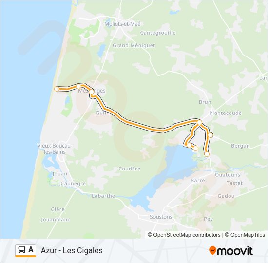 A Bus Line Map