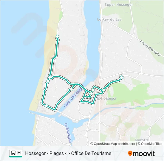 H Bus Line Map