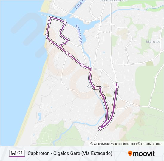 C1 Bus Line Map