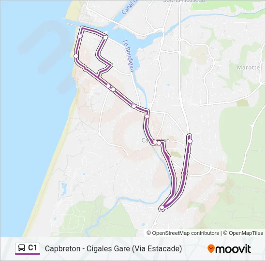 C1 Bus Line Map