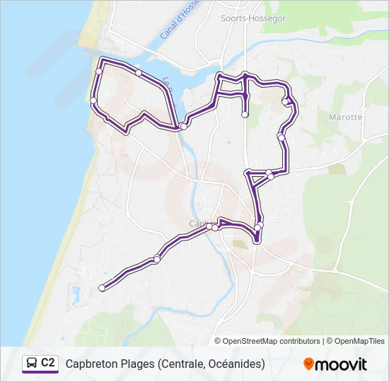 C2 Bus Line Map