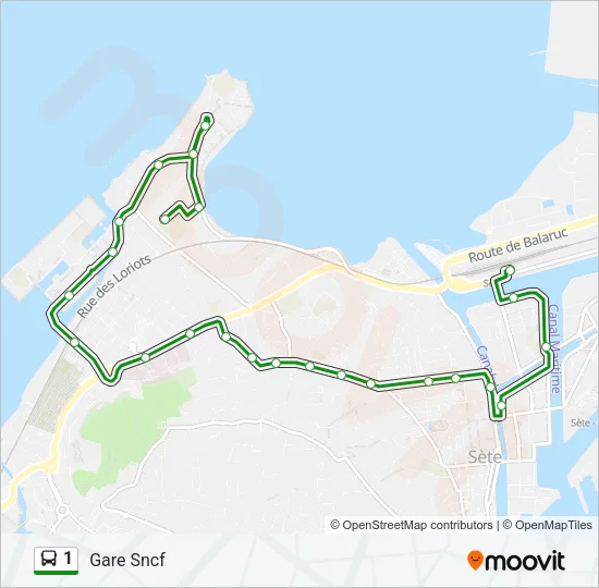 1 Bus Line Map